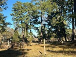 473 Marion Lane, New Waverly, TX 77358