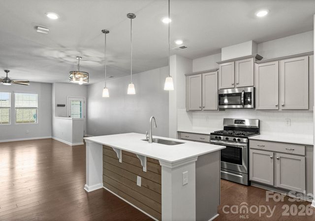 19722 Elise Caroline Alley, Davidson, NC 28036