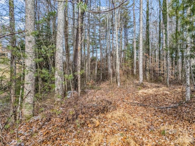 88 Summer Shade Court, Hendersonville, NC 28792