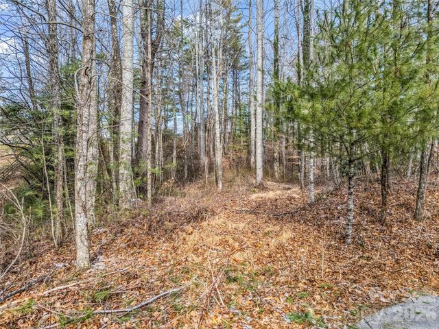 88 Summer Shade Court, Hendersonville, NC 28792