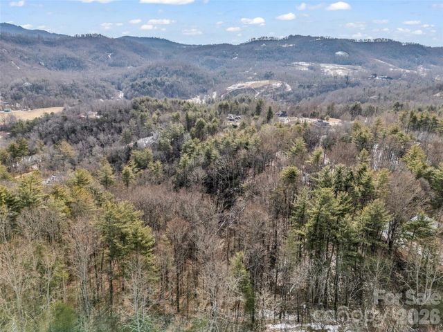 88 Summer Shade Court, Hendersonville, NC 28792