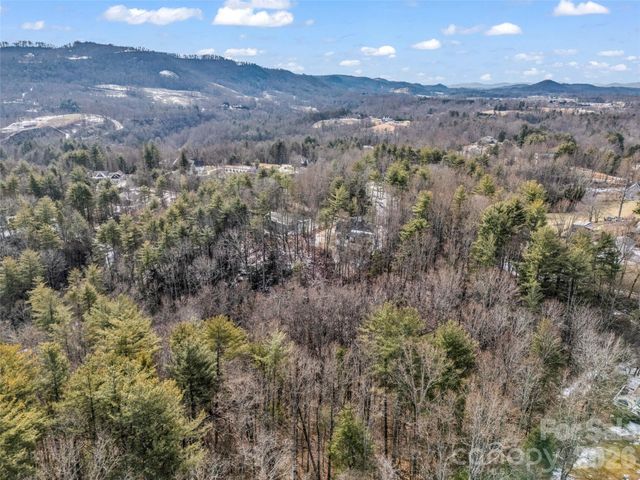 88 Summer Shade Court, Hendersonville, NC 28792