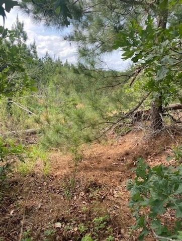 Lot 4 Kainalu LN, Bastrop, TX 78602