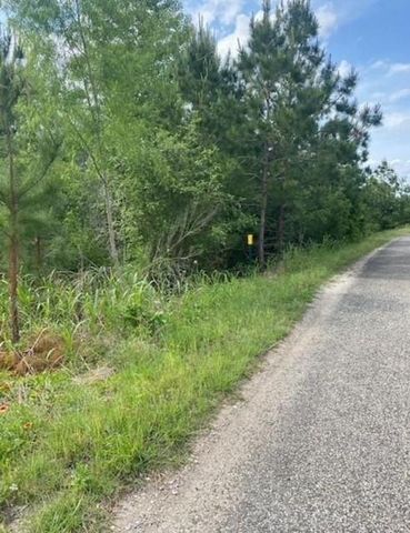 Lot 4 Kainalu LN, Bastrop, TX 78602