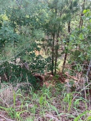 Lot 4 Kainalu LN, Bastrop, TX 78602