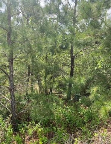 Lot 4 Kainalu LN, Bastrop, TX 78602