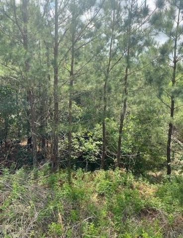 Lot 4 Kainalu LN, Bastrop, TX 78602
