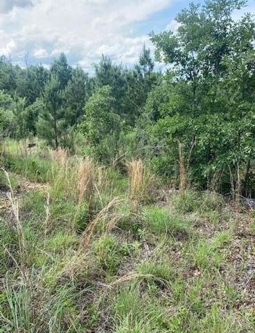 Lot 4 Kainalu LN, Bastrop, TX 78602