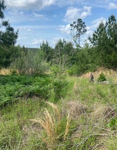Lot 4 Kainalu LN, Bastrop, TX 78602