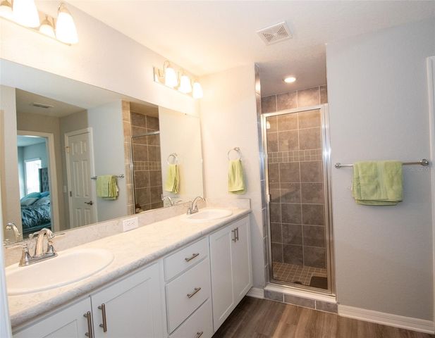 12239 CYPRESS BRANCH STREET, Riverview, FL 33579