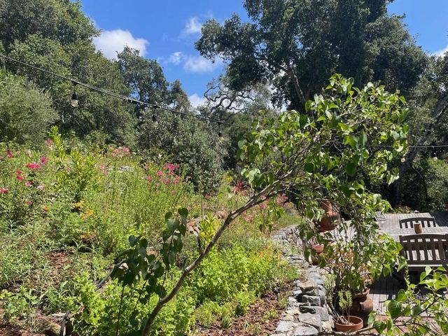 25 Recreation Drive, La Honda, CA 94020