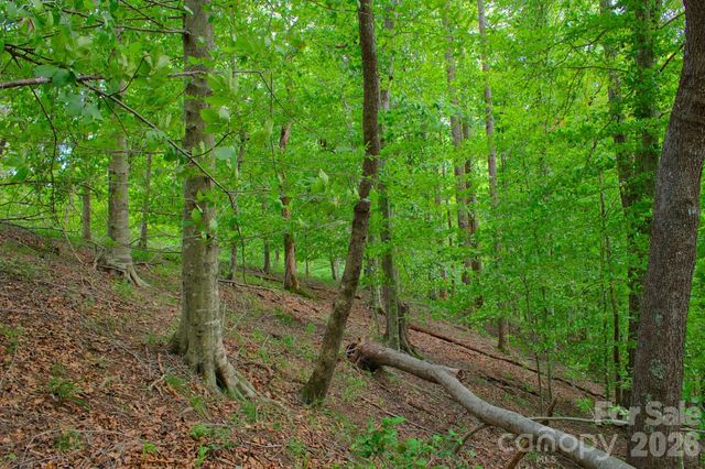 0 Cross Creek Drive 136+136A, Rutherfordton, NC 28139
