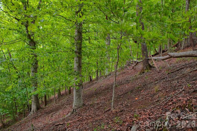 0 Cross Creek Drive 136+136A, Rutherfordton, NC 28139