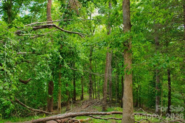 0 Cross Creek Drive 136+136A, Rutherfordton, NC 28139