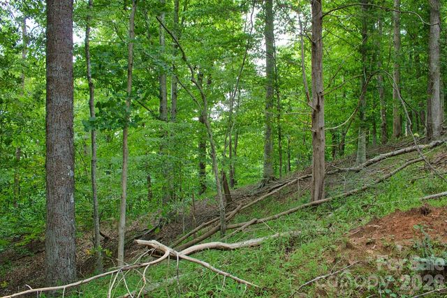 0 Cross Creek Drive 136+136A, Rutherfordton, NC 28139