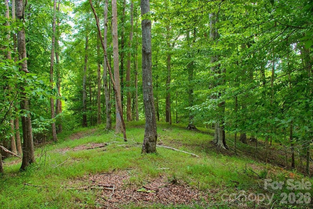 0 Cross Creek Drive 136+136A, Rutherfordton, NC 28139