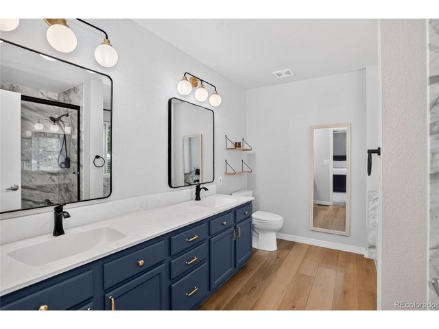 115 Falcon Cir, Mead, CO 80542