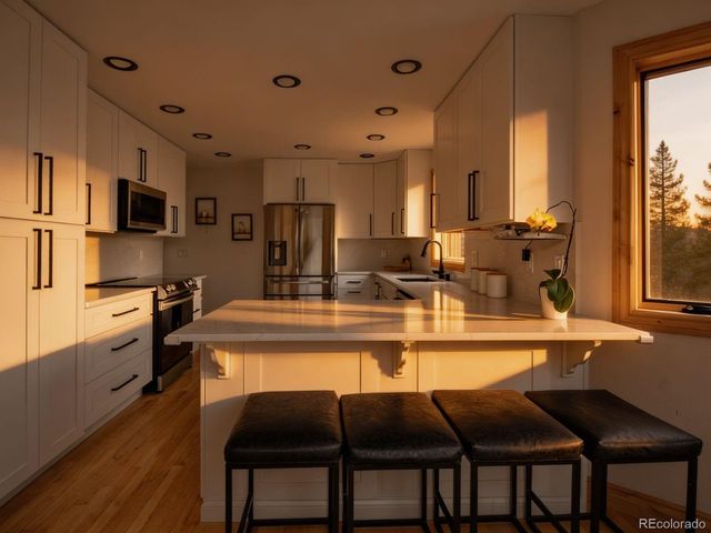 69 Spruce Ct, Evergreen, CO 80439