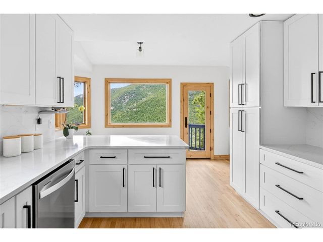 69 Spruce Ct, Evergreen, CO 80439