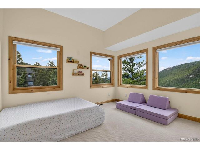 69 Spruce Ct, Evergreen, CO 80439