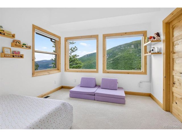 69 Spruce Ct, Evergreen, CO 80439