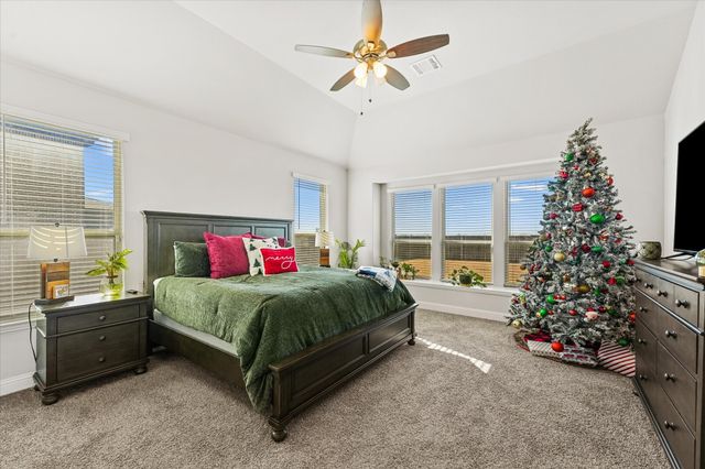 441 Green Terrace Court, Midlothian, TX 76065