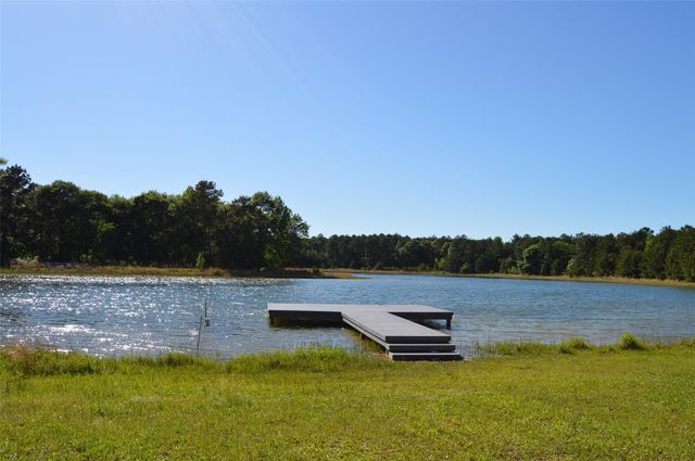 17905 Chestnut Drive, Waller, TX 77484