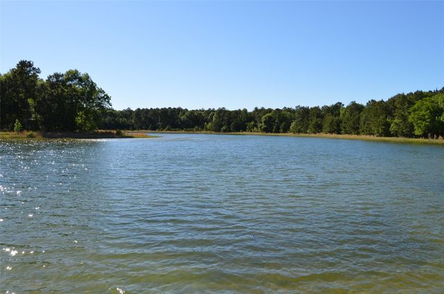 17905 Chestnut Drive, Waller, TX 77484