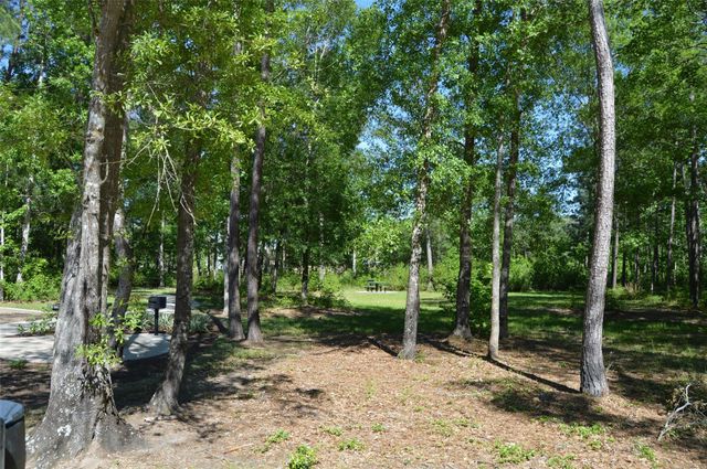 17905 Chestnut Drive, Waller, TX 77484