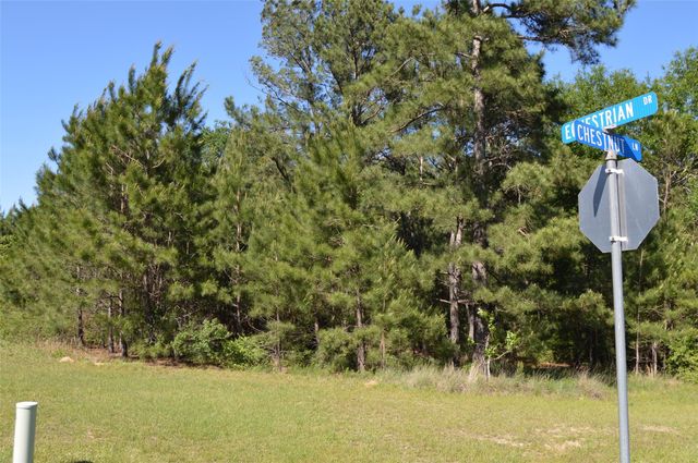 17905 Chestnut Drive, Waller, TX 77484