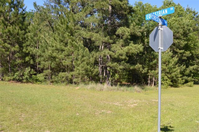17905 Chestnut Drive, Waller, TX 77484