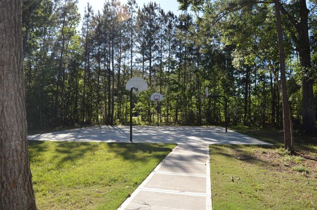 17905 Chestnut Drive, Waller, TX 77484