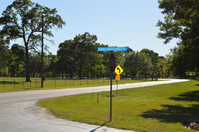 17905 Chestnut Drive, Waller, TX 77484