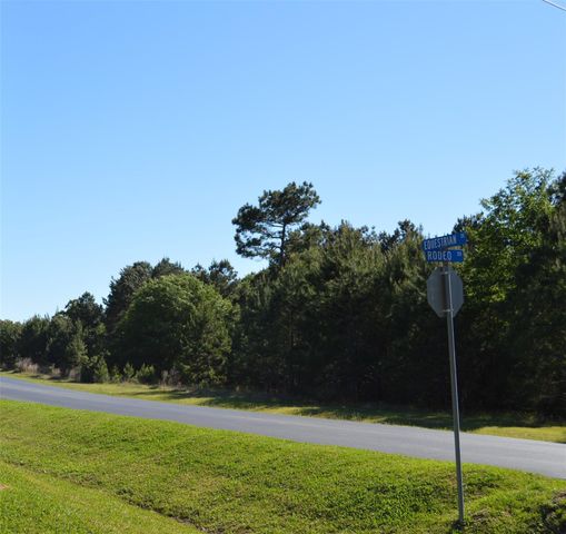 17905 Chestnut Drive, Waller, TX 77484