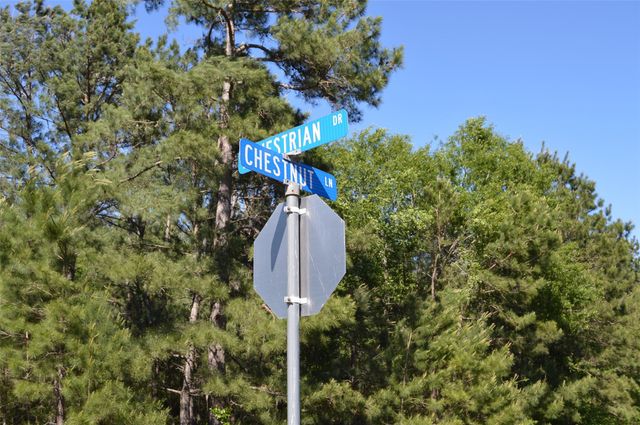 17905 Chestnut Drive, Waller, TX 77484