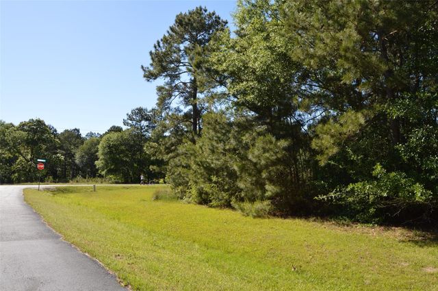 17905 Chestnut Drive, Waller, TX 77484
