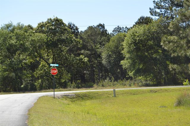 17905 Chestnut Drive, Waller, TX 77484