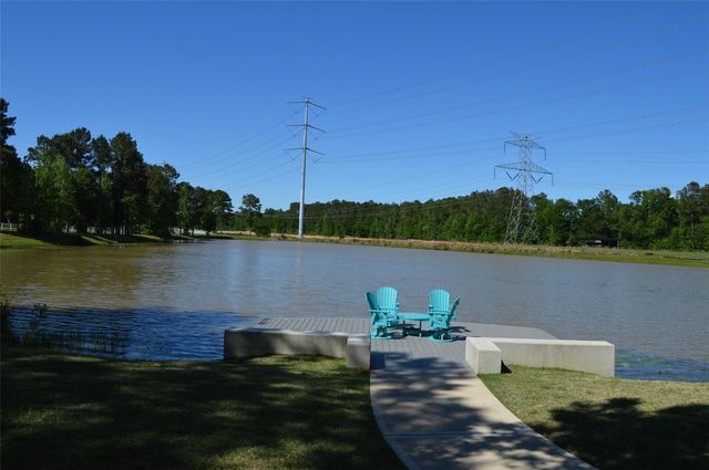17905 Chestnut Drive, Waller, TX 77484