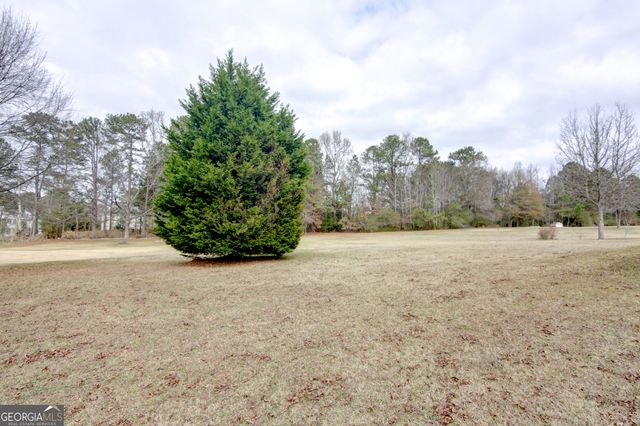 135 Tramore Trace, Tyrone, GA 30290