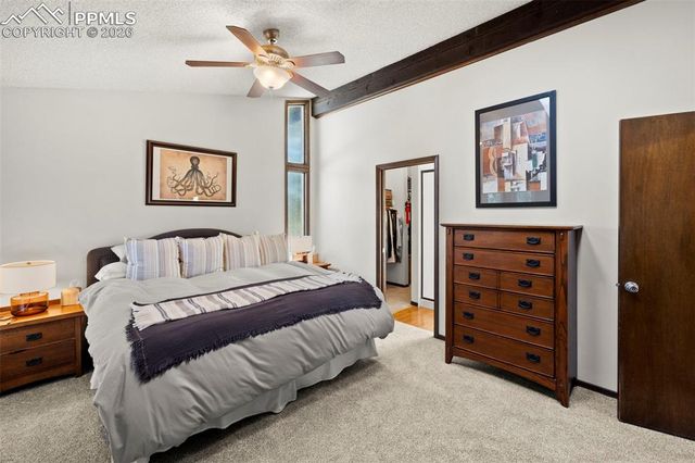 172 Del Oro Circle, Colorado Springs, CO 80919