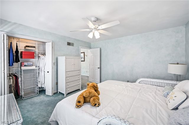 3682 Sperone Drive, Canfield, OH 44406