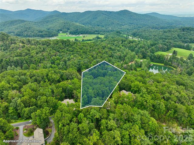 230 Shining Rock Path 64, Horse Shoe, NC 28742