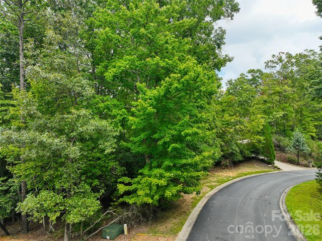 230 Shining Rock Path 64, Horse Shoe, NC 28742