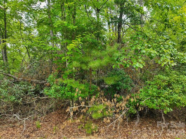 230 Shining Rock Path 64, Horse Shoe, NC 28742