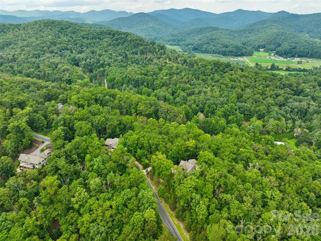 230 Shining Rock Path 64, Horse Shoe, NC 28742