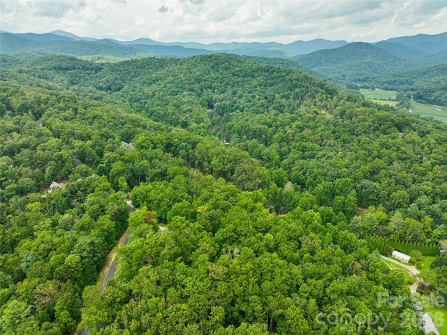 230 Shining Rock Path 64, Horse Shoe, NC 28742