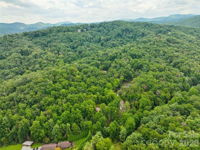 230 Shining Rock Path 64, Horse Shoe, NC 28742