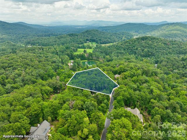 230 Shining Rock Path 64, Horse Shoe, NC 28742