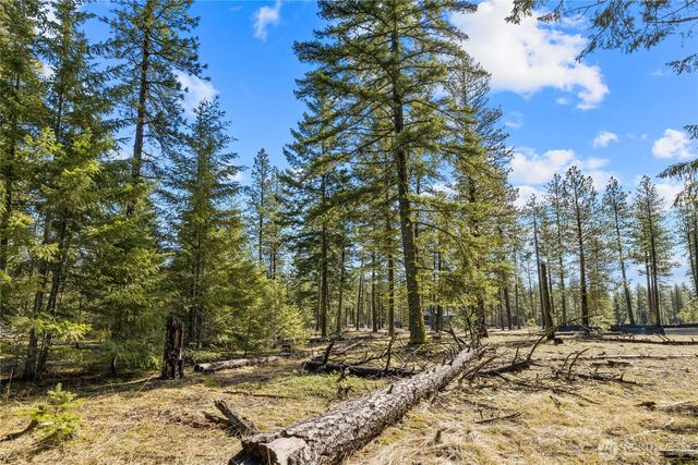 126 Lot Wanawish, Cle Elum, WA 98922