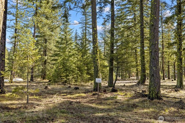 126 Lot Wanawish, Cle Elum, WA 98922